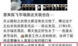 大粉连麦爆料视频大全,视频大全背后的精彩瞬间