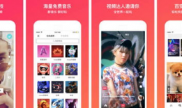 王小姐爆料今日头条视频,今日头条视频背后的惊人真相