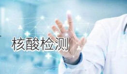 核酸医药公司爆料新闻,独家爆料揭示行业最新动态