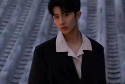 女网友爆料王俊凯视频,女网友爆料引发热议！