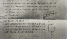 刘大锤最新爆料张彬彬是真的吗,张彬彬真相揭晓？