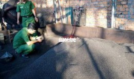 户外虎子被爆料视频造假,揭秘真相背后的疑云重重
