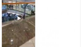 网友爆料坠楼视频真实