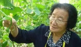 娱乐吃瓜酱中国本土的,揭秘中国本土娱乐圈的幕后故事