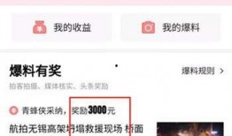 美国爆料头条视频,揭秘不为人知的真相