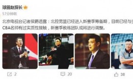 老马爆料新联赛视频,全新联赛精彩瞬间抢先看！