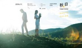 秋风最新爆料,娱乐圈惊天大事件幕后真相