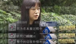 兄弟反目爆料视频播放,揭秘视频背后的惊人真相