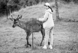 鹿儿在线观看,探寻神秘鹿族的奇幻之旅