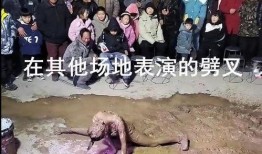 泥巴大爆料视频,揭秘视频背后的惊人真相