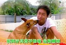 老友狗狗国语在线观看,重温经典，共度欢乐时光