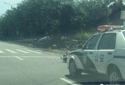 记者爆料车祸视频大全集,惊心动魄！记者爆料车祸视频大全集回顾