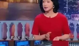明星大爆料齐豫视频,明星大爆料背后的故事
